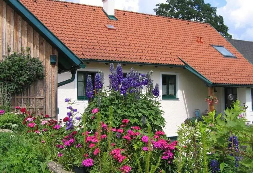 ベッドアンドブレックファースト Ferienhof Stanzl