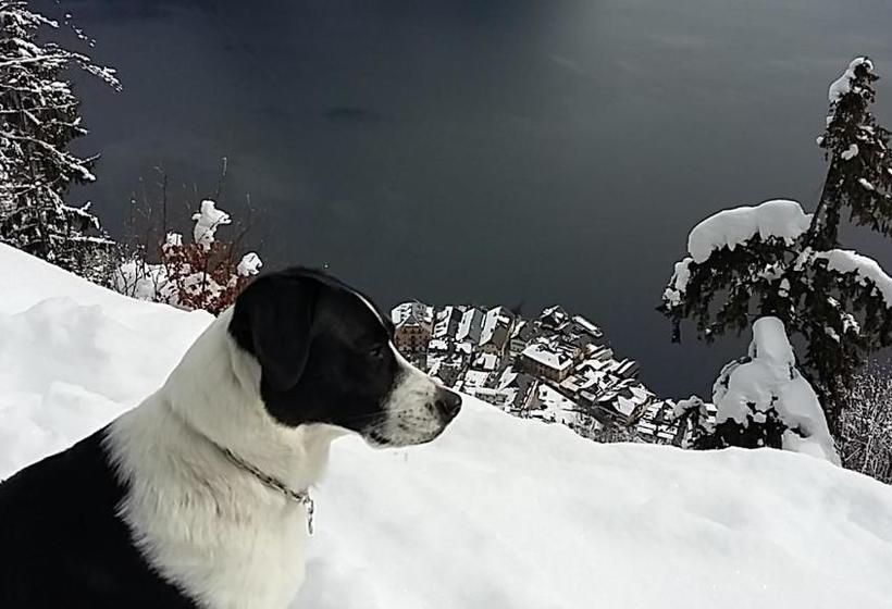 مبيت وإفطار Haus Höll Herta