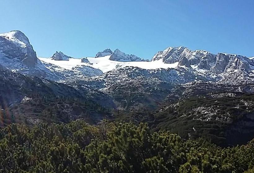 مبيت وإفطار Haus Höll Herta