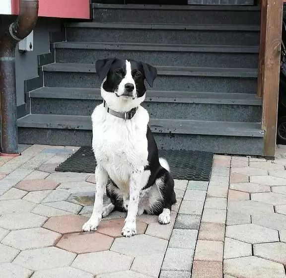 Aamiaismajoitus (B&B) Haus Höll Herta