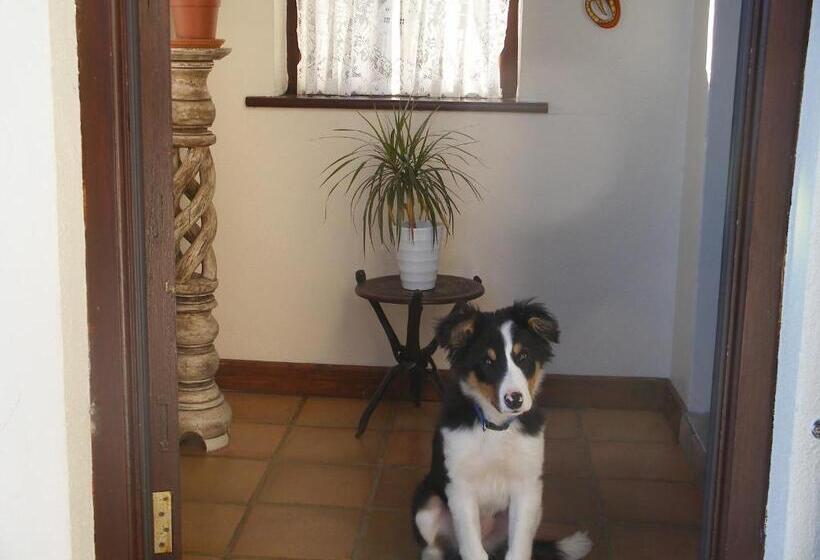 Bed and Breakfast Doolin Cottage Accommodation