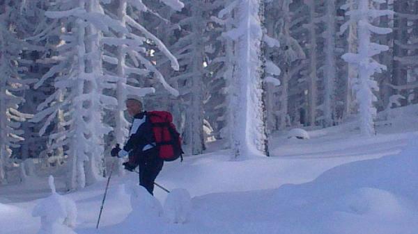 בית מלון כפרי Gasthof Brüggler