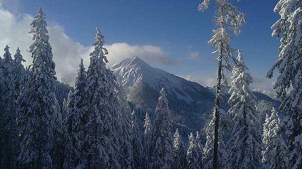 בית מלון כפרי Gasthof Brüggler