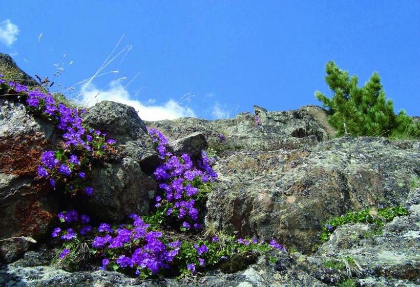 호텔 Gasthof Geierwallihof