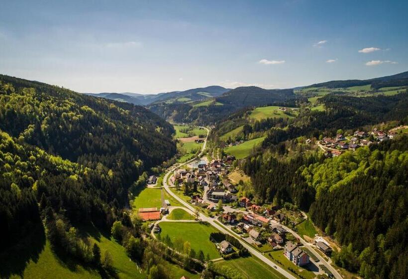 בית מלון כפרי Mönichwalderhof