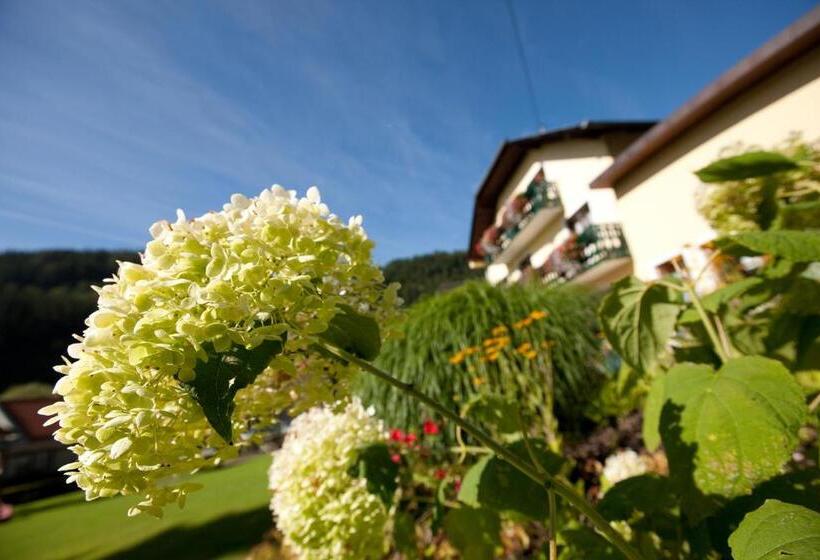 בית מלון כפרי Mönichwalderhof