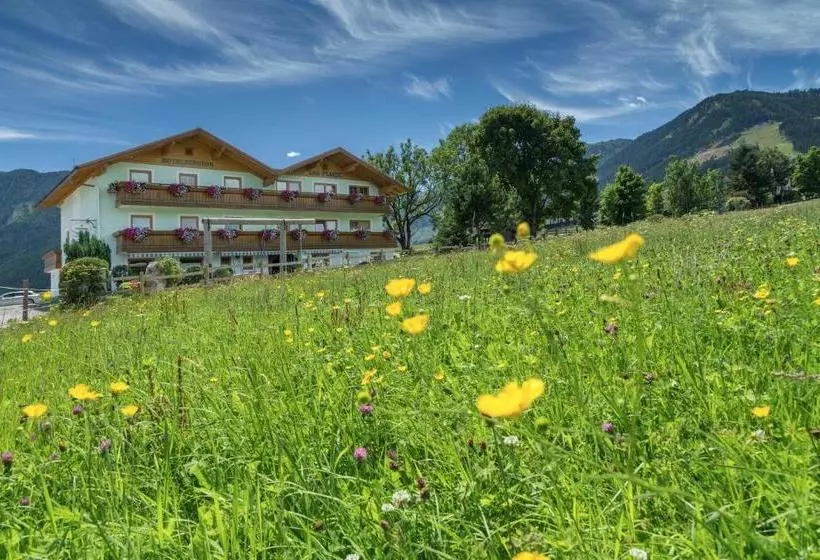 هتل Pension Das Platzl