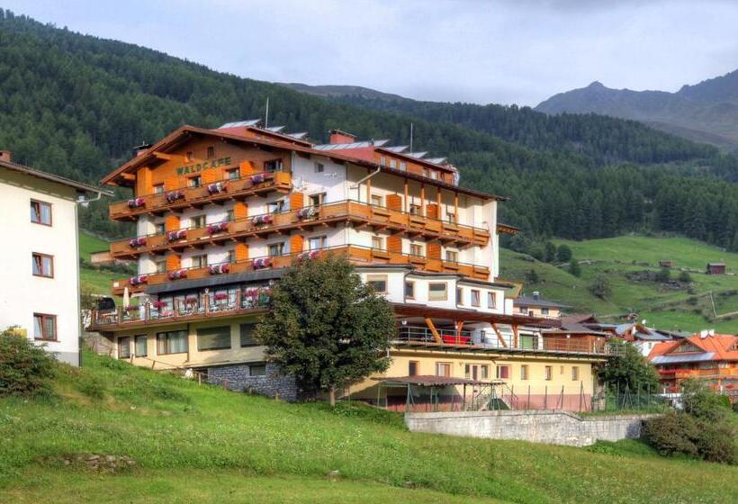 בית מלון כפרי Waldcafe