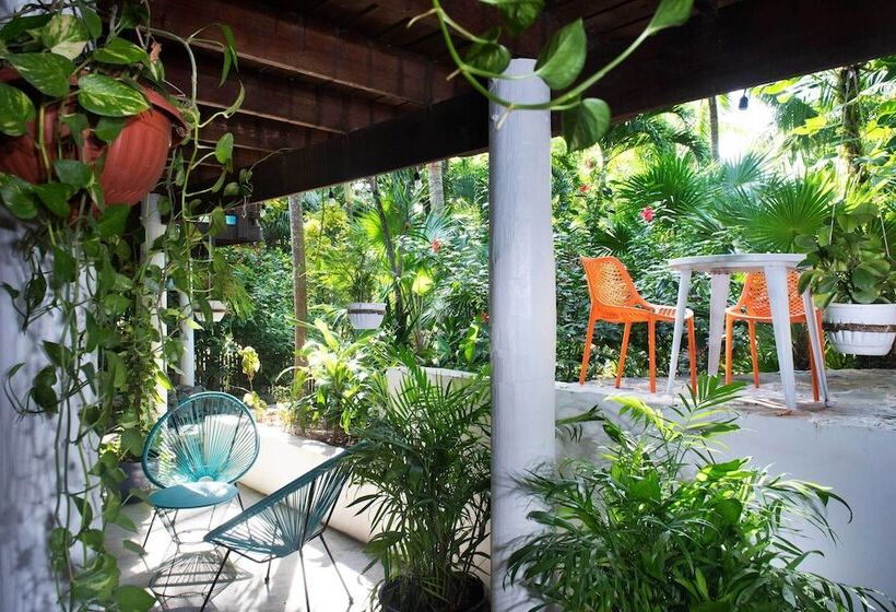 تختخواب و صبحانه Puerta Azul