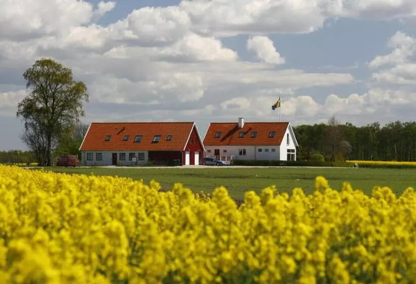 Hobykrok B&b