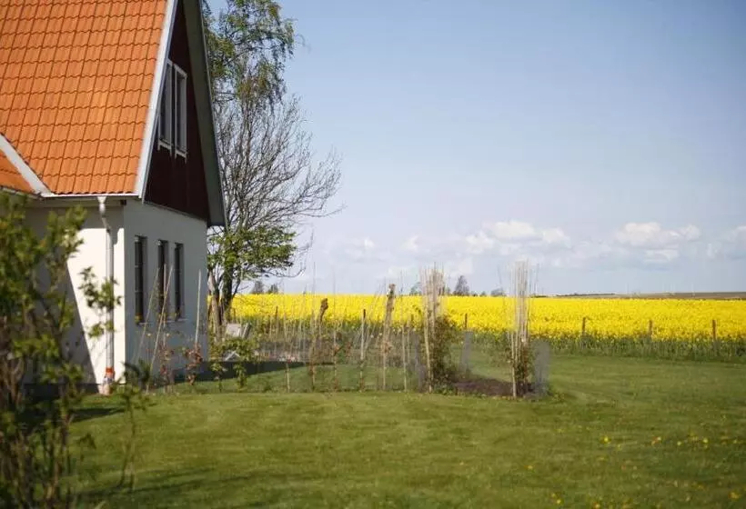 Hobykrok B&b