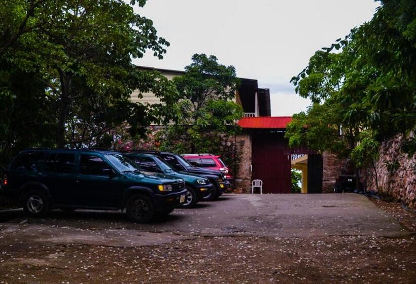 酒店 Habitation Des Lauriers