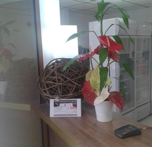 هتل Hôtel Amazonia Du Fleuve