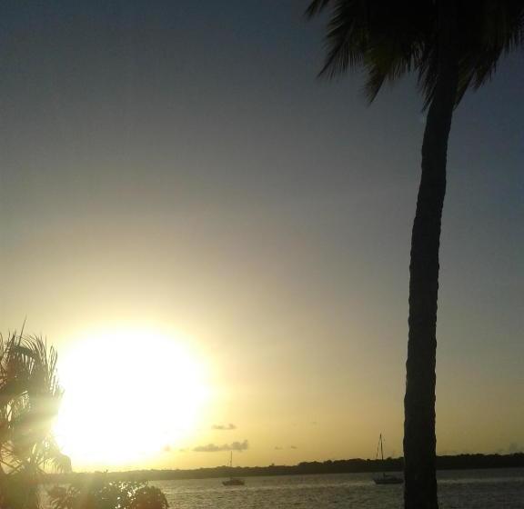 هتل Hôtel Amazonia Du Fleuve