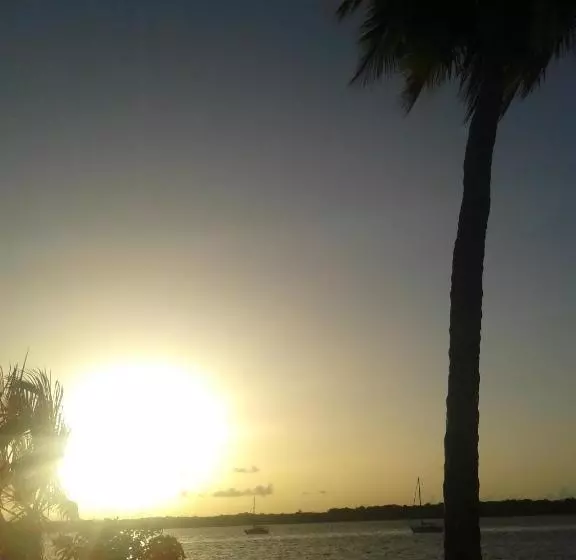 هتل Hôtel Amazonia Du Fleuve