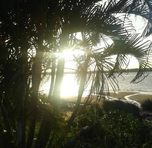 هتل Hôtel Amazonia Du Fleuve