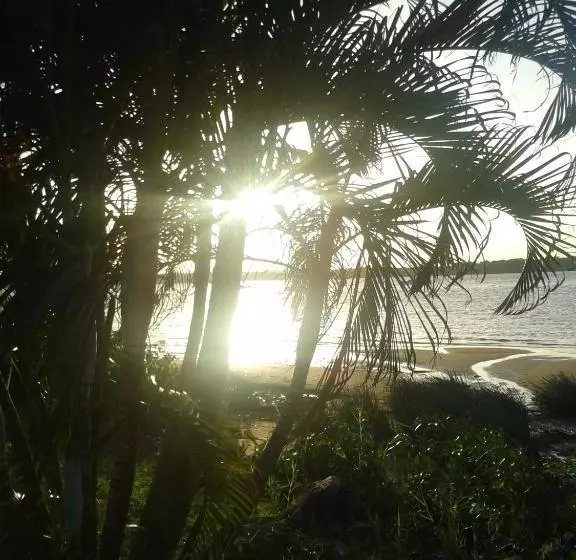 هتل Hôtel Amazonia Du Fleuve