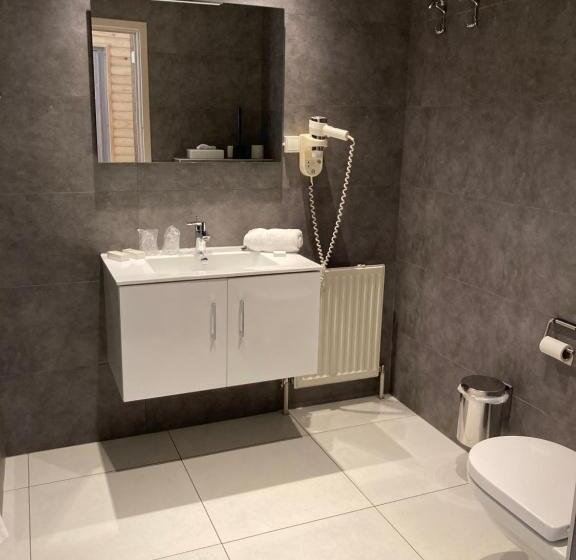 בית מלון כפרי Le Relais De La Haute Sambre