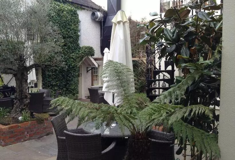 Hotel Raheen House
