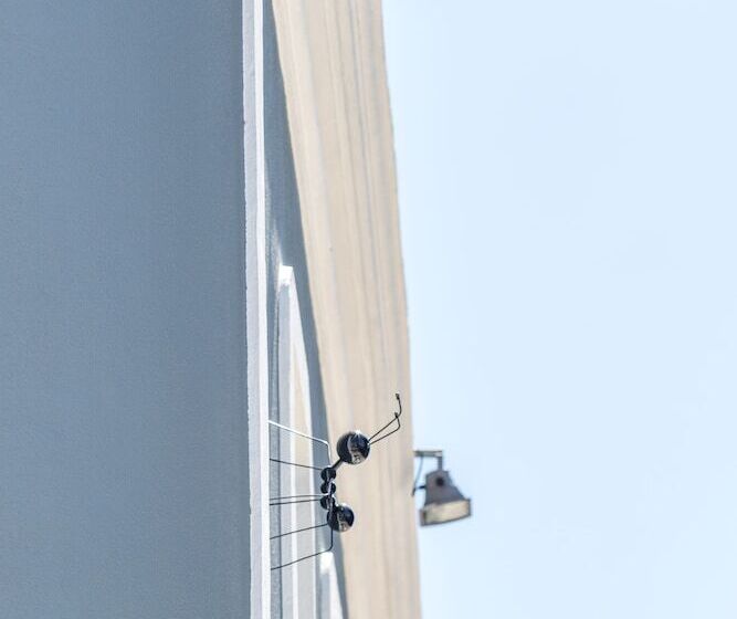 Rm The Experience Small Portuguese Hotels