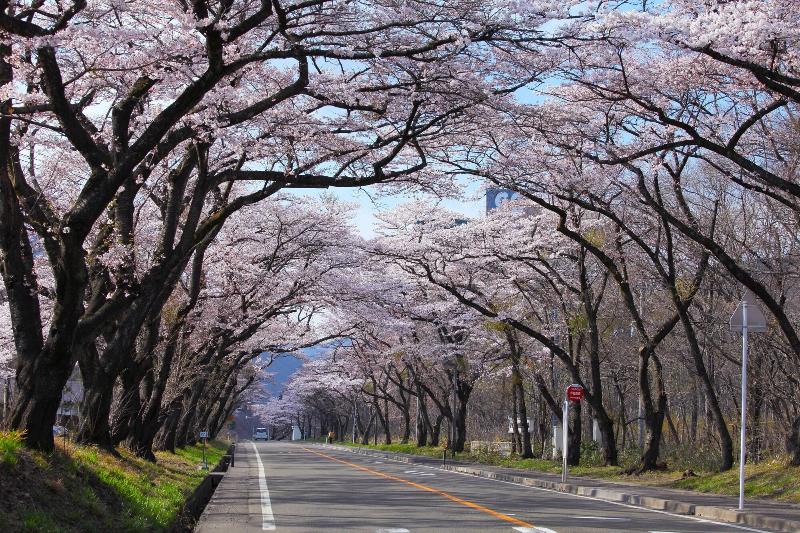 فندق Sakunami Onsen Yuzukushi Salon Ichinobo