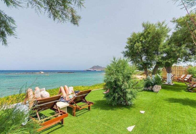 Niki Savvas Studio & Suites