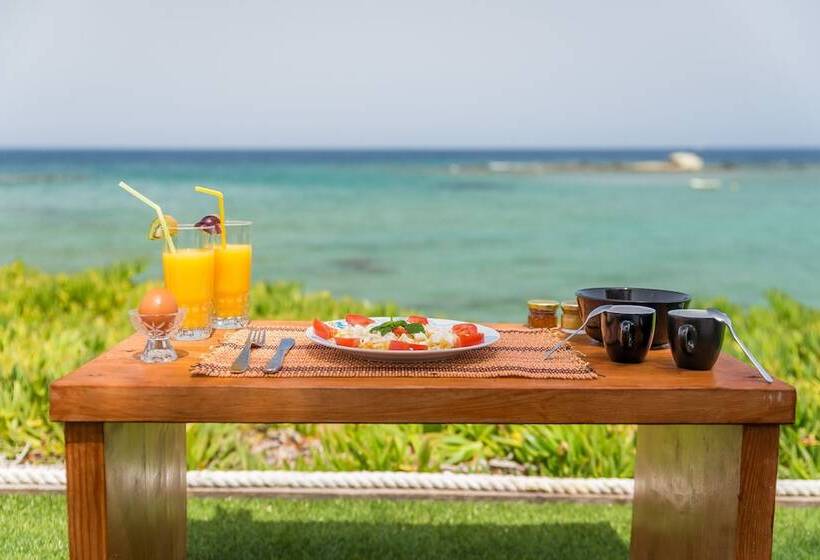 Niki Savvas Studio & Suites