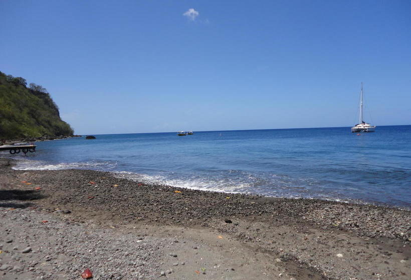 Sunset Bay Club & Seaside Dive Resort