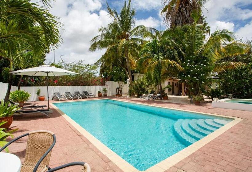 B&b Sombre Di Kabana