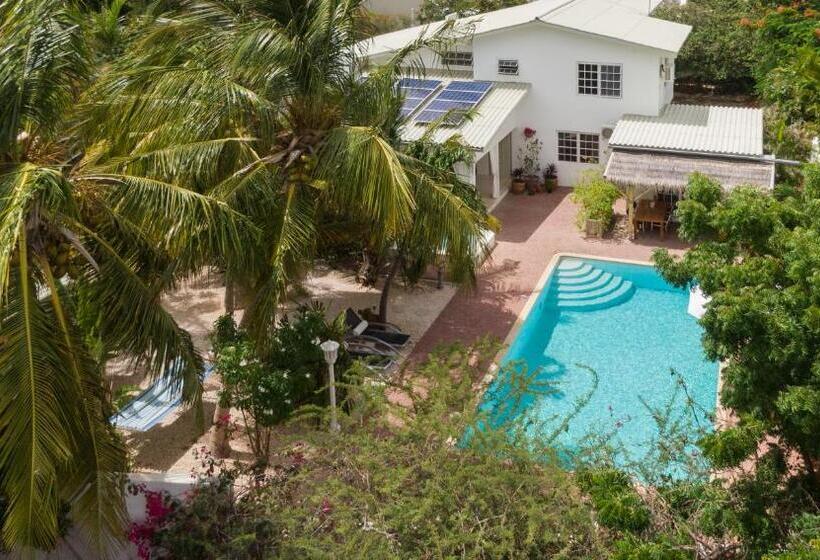 B&b Sombre Di Kabana