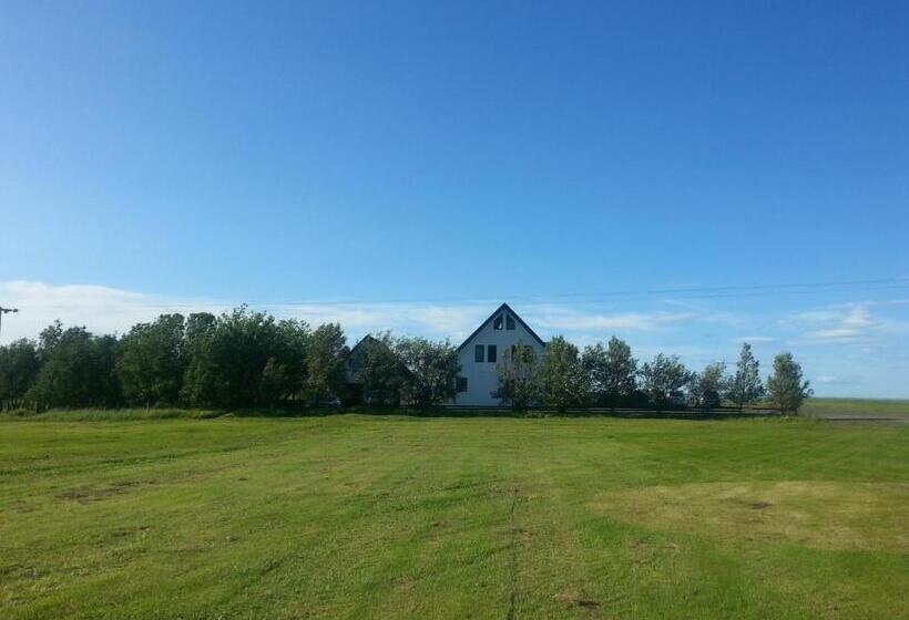 تختخواب و صبحانه Guesthouse Dalbaer