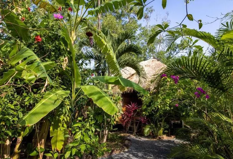 تختخواب و صبحانه Kampot Cabana