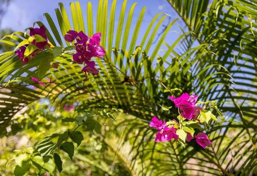 تختخواب و صبحانه Kampot Cabana