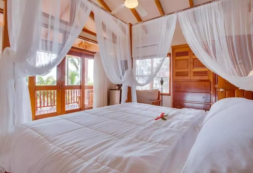 Belizean Dreams Resort