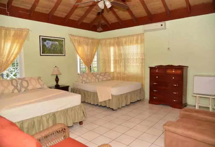 Castlevue B&b