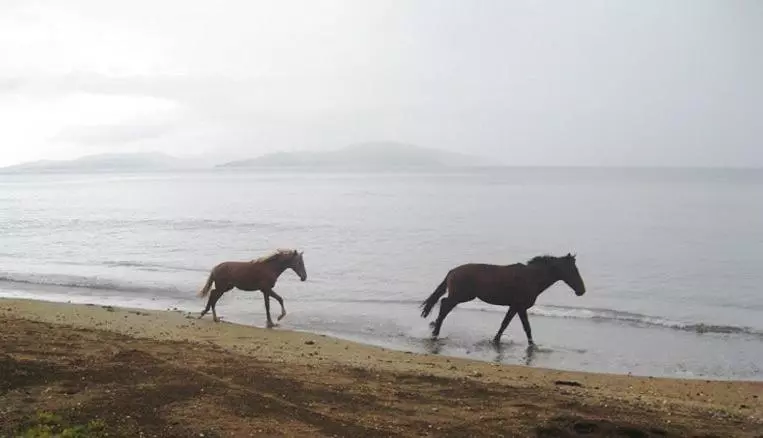 ホテル Aroha Taveuni