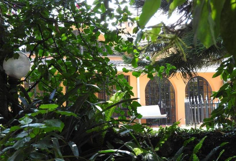 Magnolia Pine Bed & Breakfast