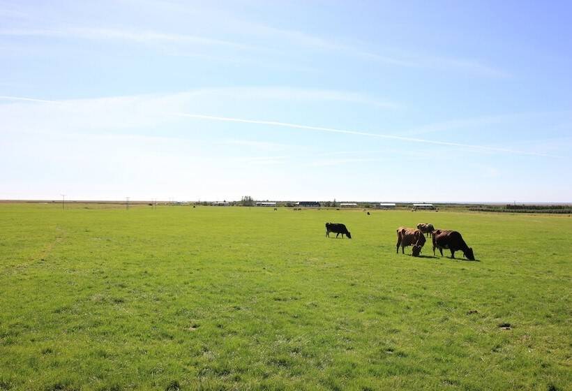 Skógá By Ej Hotels