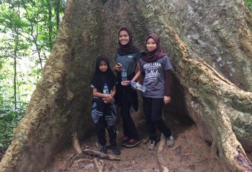 Dtahan Motel Taman Negara