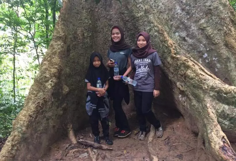 Dtahan Motel Taman Negara