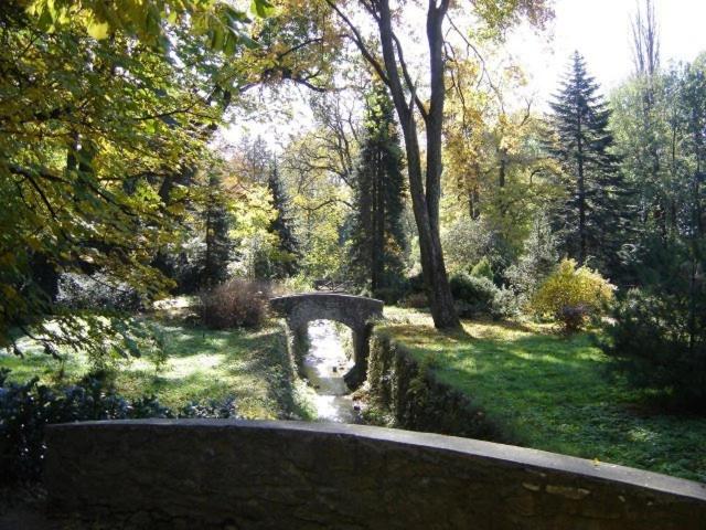 مبيت وإفطار Rézkakas Fogadó