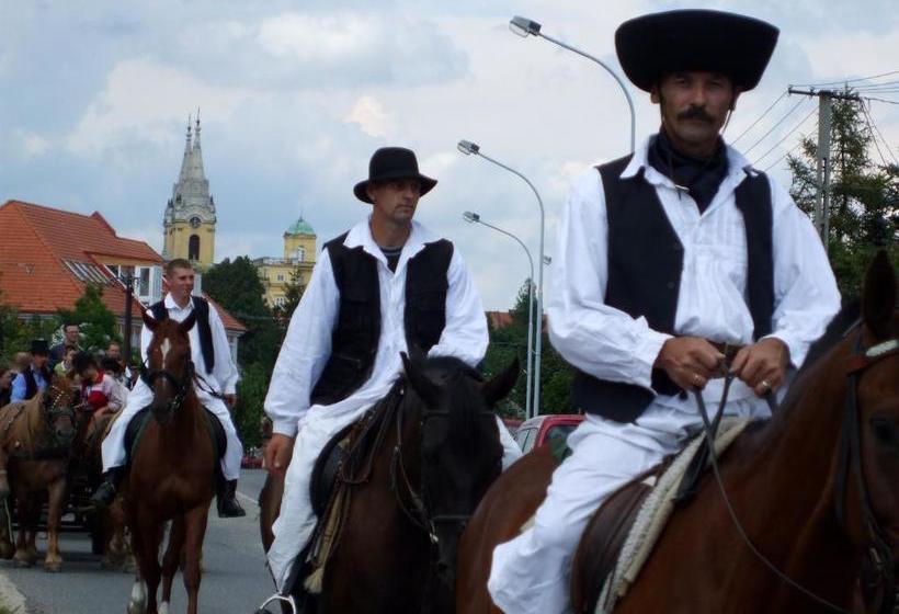 مبيت وإفطار Rézkakas Fogadó