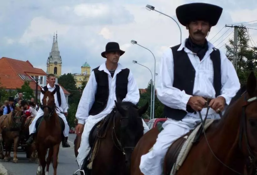 Aamiaismajoitus (B&B) Rézkakas Fogadó