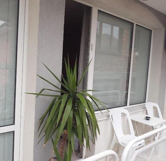 هتل The White House