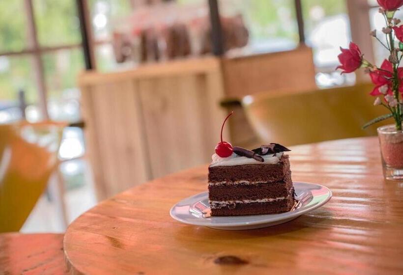 אתר נופש Toraja Misiliana