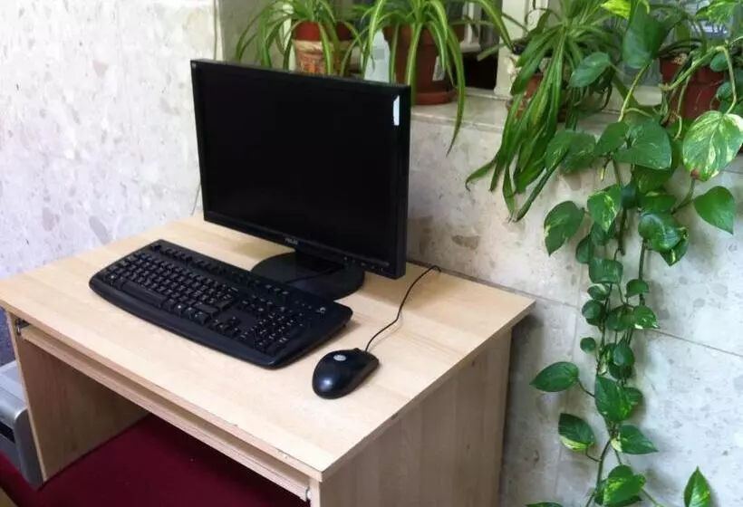 Season Hostel