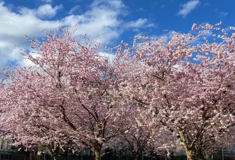 Hotelli Neues Haus   Berggasthof Und