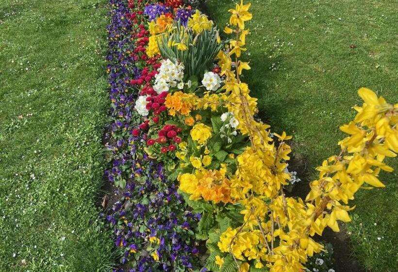 Hotel Neues Haus   Berggasthof Und