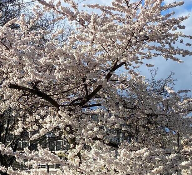 Hotel Neues Haus   Berggasthof Und