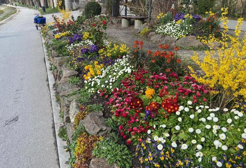 Hotel Neues Haus   Berggasthof Und